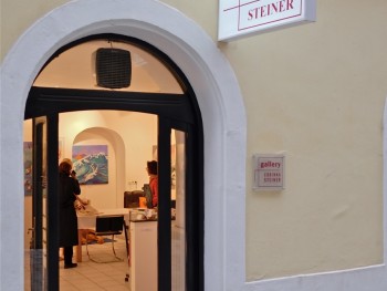 Gallery Steiner 1